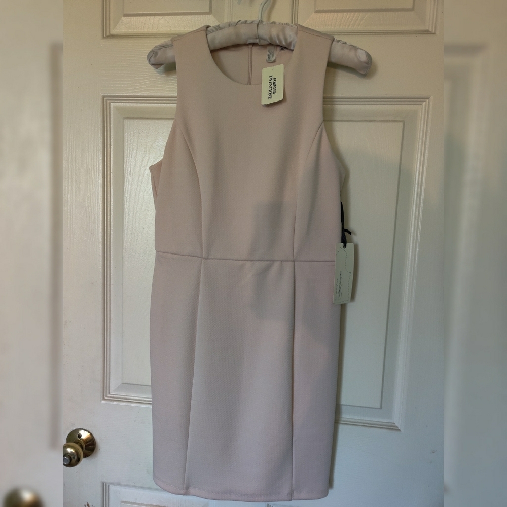 Casual Blush Dress